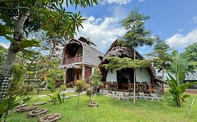 Sumatra Orangutan Treks Villa & Eco Jungle Trekking Activity